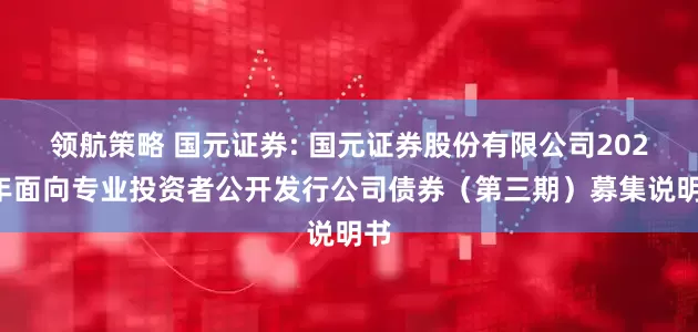 领航策略 国元证券: 国元证券股份有限公司2025年面向专业投资者公开发行公司债券（第三期）募集说明书