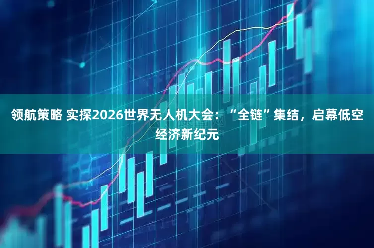 领航策略 实探2026世界无人机大会：“全链”集结，启幕低空经济新纪元